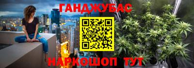 гидра Кудрово