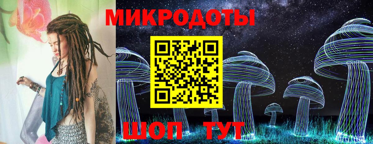 Псилоцибиновые грибы Cubensis Апрелевка
